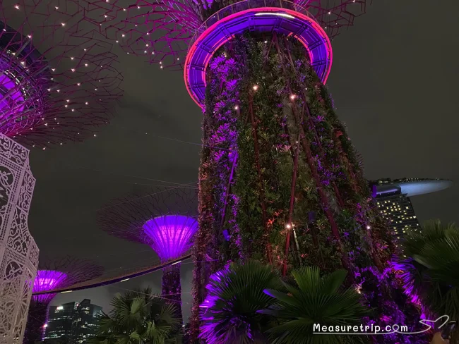 シンガポール世界遺産 ガーデンバイザベイじゃない方の「シンガポール植物園」