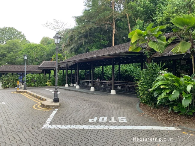 シンガポール世界遺産 ガーデンバイザベイじゃない方の「シンガポール植物園」