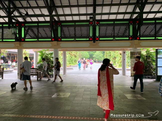 シンガポール世界遺産 ガーデンバイザベイじゃない方の「シンガポール植物園」