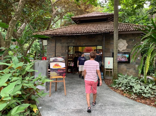 シンガポール世界遺産 ガーデンバイザベイじゃない方の「シンガポール植物園」