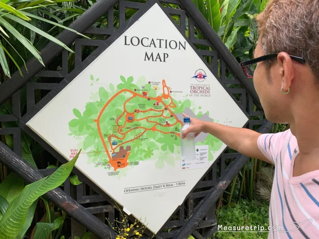 シンガポール世界遺産 ガーデンバイザベイじゃない方の「シンガポール植物園」