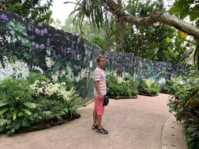 シンガポール世界遺産 ガーデンバイザベイじゃない方の「シンガポール植物園」