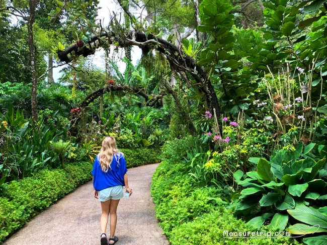 シンガポール世界遺産 ガーデンバイザベイじゃない方の「シンガポール植物園」