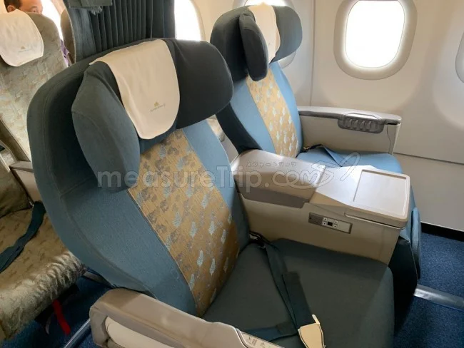 ベトナム航空 A321 エコノミークラス シンガポール⇔ベトナム / 搭乗記