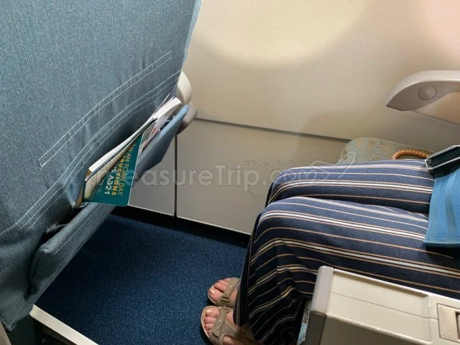 ベトナム航空 A321 エコノミークラス シンガポール⇔ベトナム / 搭乗記