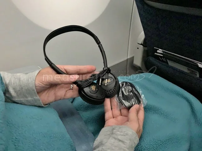 ベトナム航空 A359 プレミアムエコノミークラス ベトナム⇔大阪 / 搭乗記