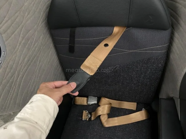 ターキッシュエアラインズ B789 ビジネスクラス イスタンブール⇔ドバイ / 搭乗記