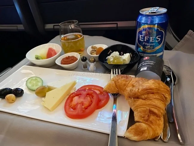 ターキッシュエアラインズ B789 ビジネスクラス イスタンブール⇔ドバイ / 搭乗記