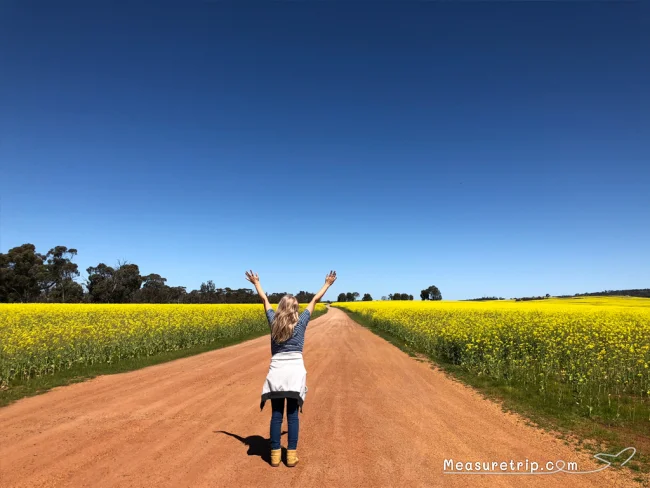 マリオット ボンヴォイ アメックスで旅費を劇的に節約!高級ホテルに無料宿泊&マイルで飛行機代も無料!