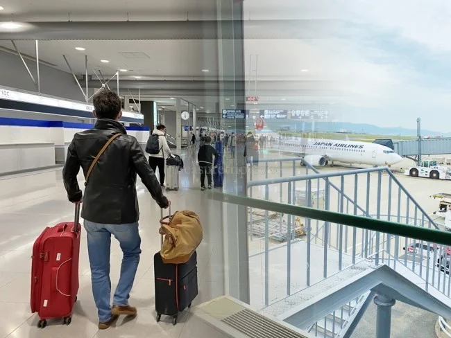 早期購入でクラスJもお得！JAL 国内線の航空券予約方法