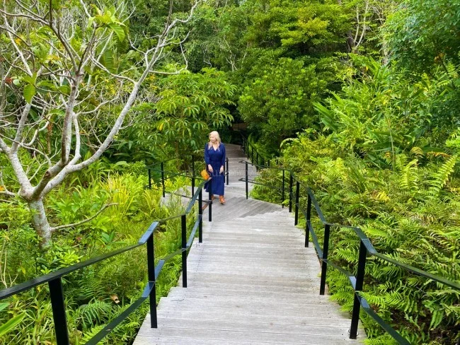 【無料宿泊可能!】ザ・リッツ・カールトン沖縄 宿泊ガイド【 マリオット 滞在記】