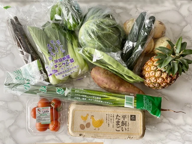 【食材 宅配 おすすめ】らでぃっしゅぼーや太っ腹！無添加の野菜ブイヨン20回分プレゼント！お得♪【 食材通販 口コミ】