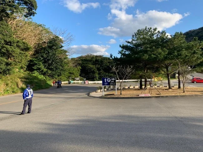 【冬の沖縄 おすすめスポット】世界遺産「今帰仁城跡（なきじんぐすくあと）」で楽しむ桜 / お花見 今帰仁グスク桜まつり【冬の沖縄観光】