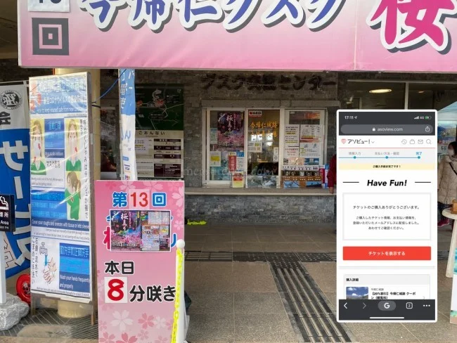 【冬の沖縄 おすすめスポット】世界遺産「今帰仁城跡（なきじんぐすくあと）」で楽しむ桜 / お花見 今帰仁グスク桜まつり【冬の沖縄観光】