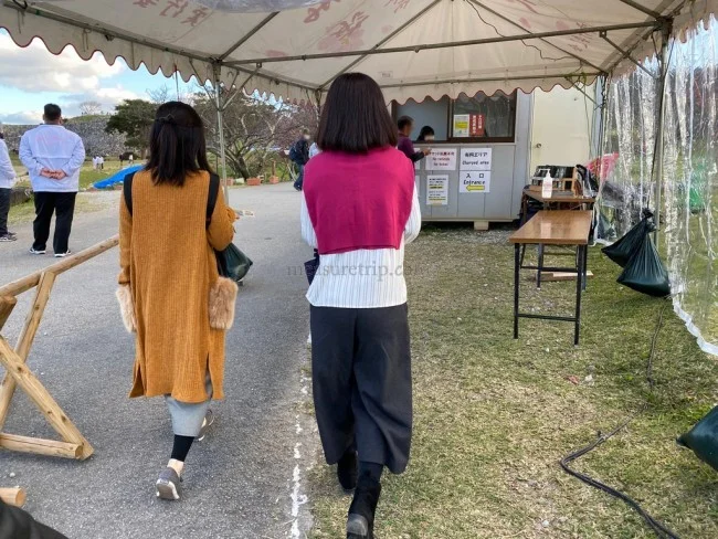 【冬の沖縄 おすすめスポット】世界遺産「今帰仁城跡（なきじんぐすくあと）」で楽しむ桜 / お花見 今帰仁グスク桜まつり【冬の沖縄観光】
