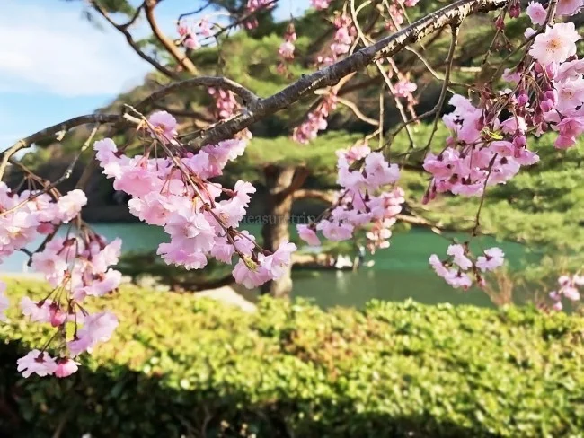 【嵐山のおすすめ 和風カフェ】 優雅な時間を過ごせる高級ホテルの和風 カフェ「八翠」のアフタヌーンティーをレビュー【翠嵐ラグジュアリーコレクションホテル京都】