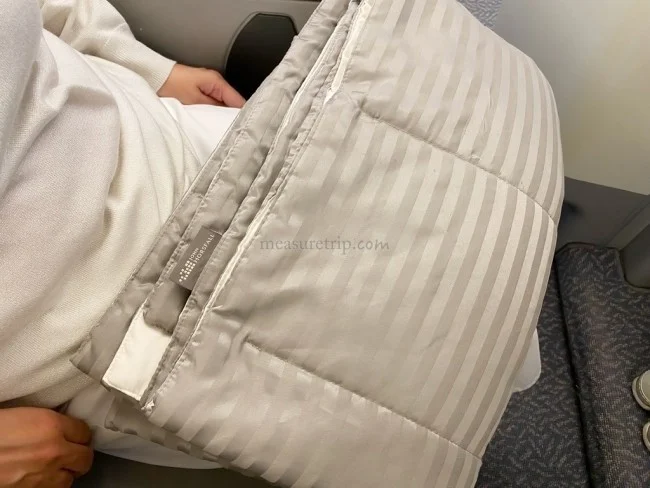 エミレーツ航空 A380 ビジネスクラス ドバイ⇔大阪 / 搭乗記【エミレーツ 機内食】