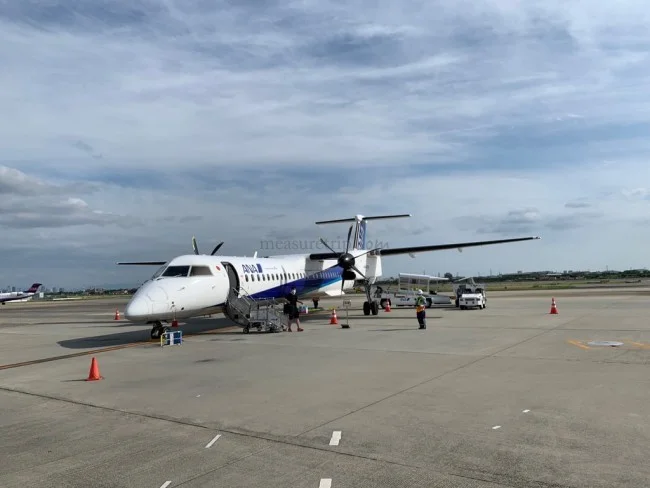 ANA国内線 ボンバルディア プロペラ機 DHC8-Q400 宮崎→伊丹 / 搭乗記