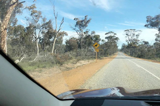 [野生のカンガルーがいる世界一のビーチを目指して！西オーストラリア・ロングドライブ旅行記118] 乾燥大国オーストラリア・デンマークまでの道のりで時間がないのに寄り道？
