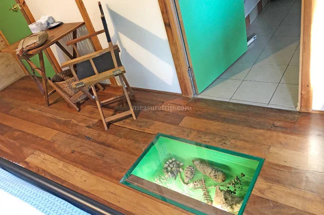 [野生のカンガルーがいる世界一のビーチを目指して！西オーストラリア・ロングドライブ旅行記121] 森の中に佇むナチュラル系B&B「WINDROSE（ウインドローズ） BED&BREAKFAST」