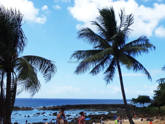 【2023年最新・5月1日更新】ハワイ旅行に行きたい人必見！PCR検査は？隔離は？【海外旅行・渡航情報 PCR検査 不要】