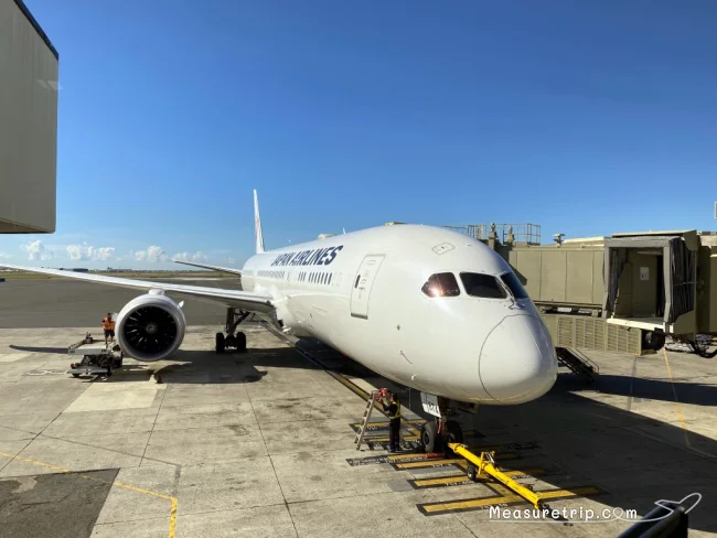 【JALハワイ コロナ後】B789 ビジネスクラス JL74 羽田→ハワイ・ホノルル の機内の様子と機内食 JAL SKY SUITE Ⅲ【飛行機の搭乗記】