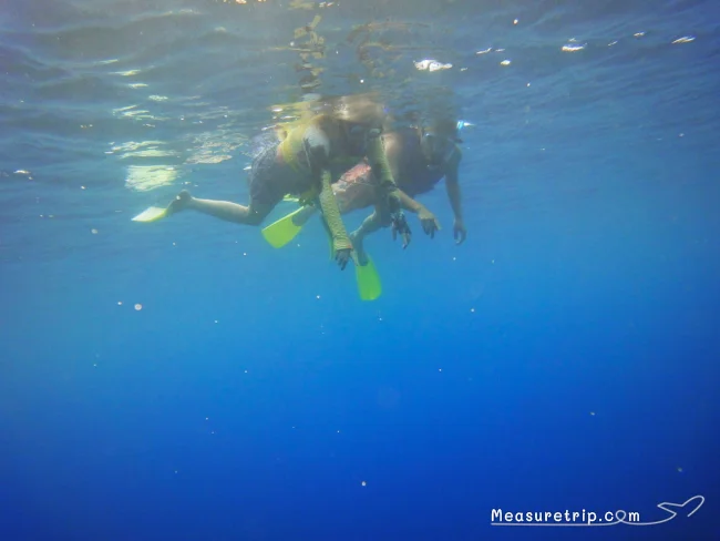 [コロナ後初海外旅行！夏休みグアム旅行記41] 海の中でウミガメ発見！