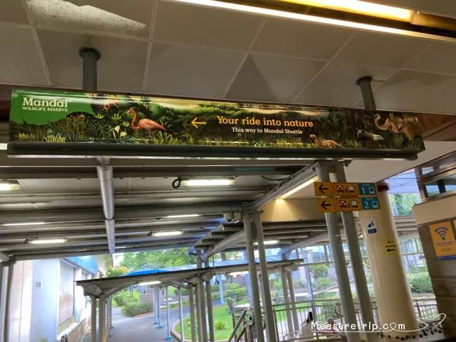【シンガポール動物園 ナイトサファリの行き方 おすすめ】安くて簡単な行き方を写真で詳しく紹介！【シンガポール 観光】