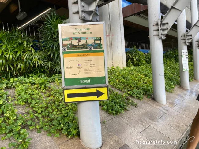 【シンガポール動物園 ナイトサファリの行き方 おすすめ】安くて簡単な行き方を写真で詳しく紹介！【シンガポール 観光】