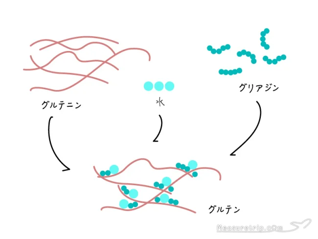 グルテンフリーは効果無し?グルテンフリーダイエットの経過報告【グルテンフリー 効果】