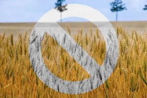 glutenfree