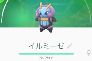 旅行情報