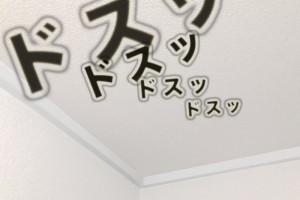 旅行情報