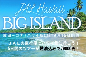 セール情報