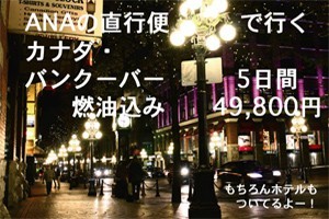 セール情報