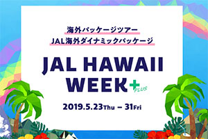 セール情報