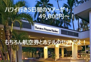 旅行情報