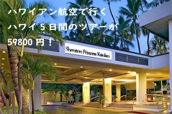 セール情報