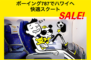 セール情報