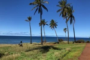 ハワイ旅行のベストシーズンはいつ？年間気温＆天気データ徹底検証