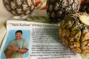 ハワイ幻のパイナップル・ハニークリームを求めてフランキー農園へ【ハワイ観光情報】