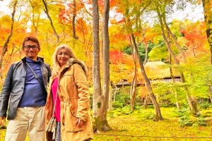 [Kyoto Autumn Leaves] When is the best time to see autumn leaves in Arashiyama, Kyoto? [Tourism in Japan]