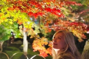 [Autumn leaves at Hogon-in Temple 2023] Should you go to Hogon-in Temple Autumn special viewing autumn leaves illumination? [Kyoto Arashiyama sightseeing]