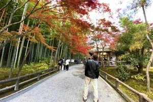 【世界遺産 京都 天龍寺】行き方・拝観料（割引）と時間・見どころ / 雲龍図公開日に注意！【京都 紅葉 おすすめ 嵐山 庭園】