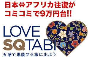 【緊急！格安航空券情報】アフリカまで往復コミコミ9万円で行ける！【ブラックフライデーセール】