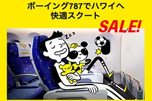 【緊急！セール情報】スクートさんがハワイ14500円のセール！オーストラリアも20900円から！