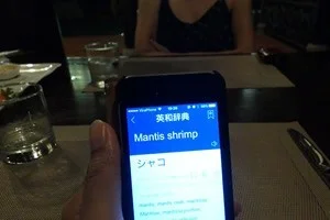 [雨季で格安！ベトナム・フーコック島旅行記49] Mantis Shrimp（マンティス・シュリンプ）って何？