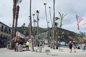 [LAからメキシコクルーズ＆ディズニーランド旅行記42] サンタカタリナ島の素敵な港町アヴァロンで夫婦喧嘩をやってみた