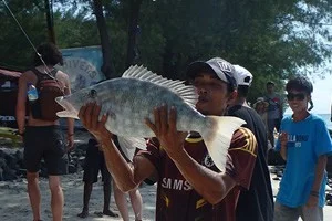 [インドネシアのパリピ秘境・ギリ島旅行記32] デカイ魚が釣れた。食えんのかな?これ。