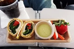 デルタ航空・アメリカ国内線の搭乗記レポート。フライト1時間でも軽食が出てくる!